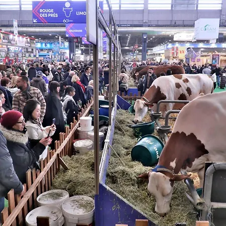 Fred'hotel 3* Párizs