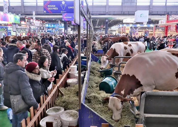 Fred'hotel 3* Париж